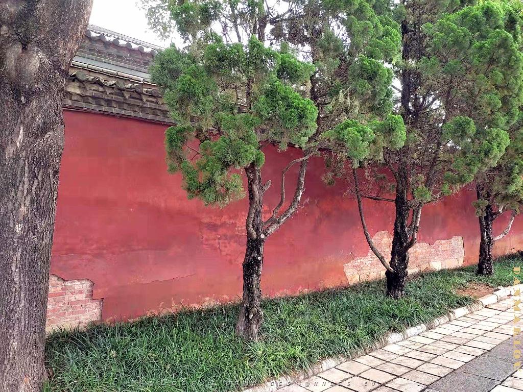 JIUNSHUI TEMPLE DE CONFUCIUS (43).jpg